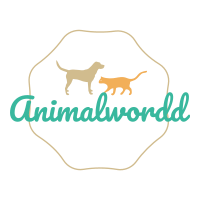 Animalworldd