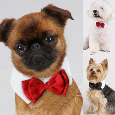 Fashion Adjustable Pet Bows Puppy Kitten Dogs Cat Tie-Collar Necktie Bowknot Clothes For Pets Dog Cat New Strap Styling New 2019