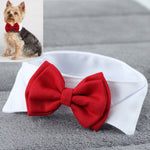 Fashion Adjustable Pet Bows Puppy Kitten Dogs Cat Tie-Collar Necktie Bowknot Clothes For Pets Dog Cat New Strap Styling New 2019