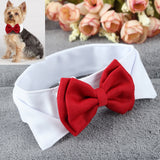 Pet Puppy Kitten Dogs Cat Adjustable Bow Tie Collar Necktie Bowknot Decor Bowtie Holiday Wedding Life Decoration Accessories